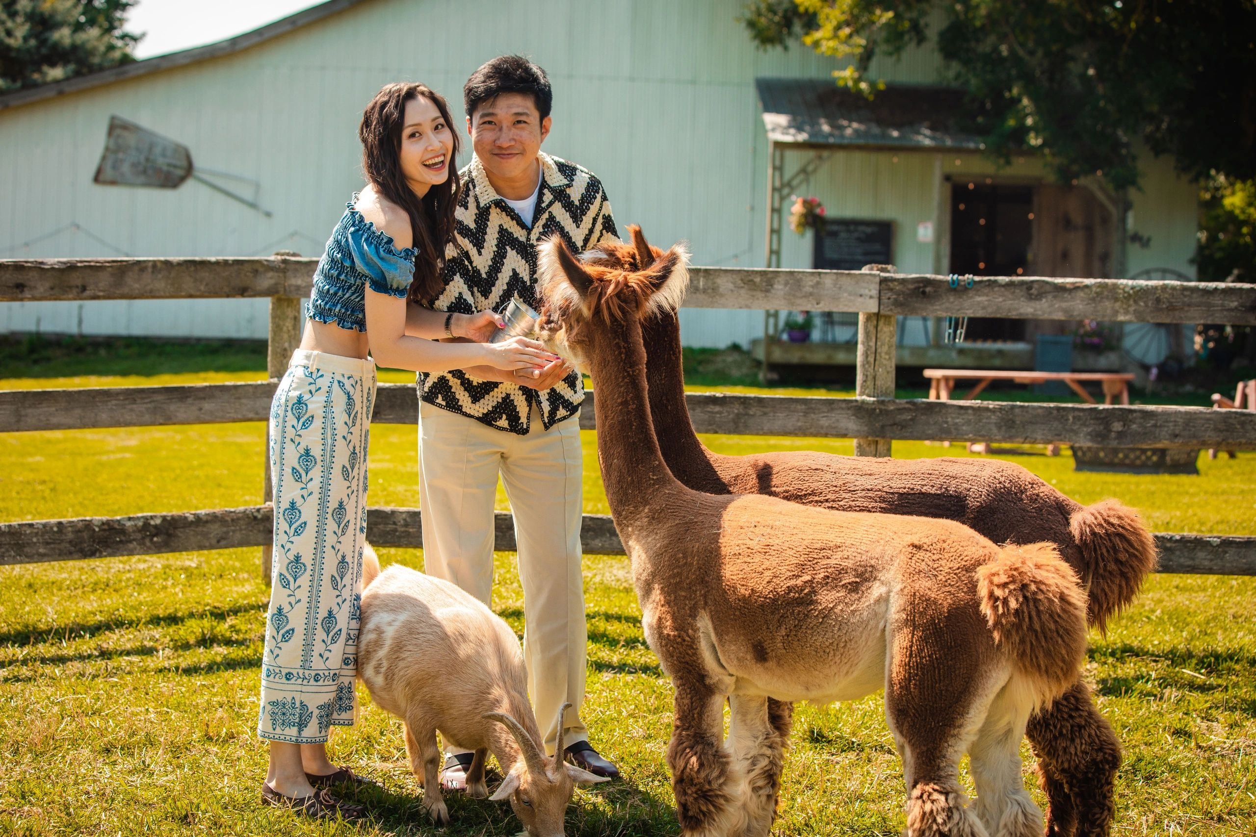 Jolly Zee Alpacas, Mono Ontario